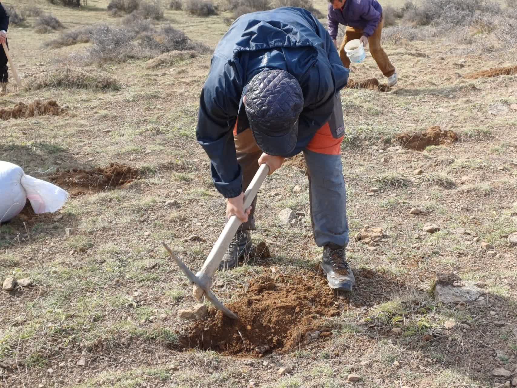 احیای مراتع با همراهی بهره‌برداران و رویکرد مشارکتی